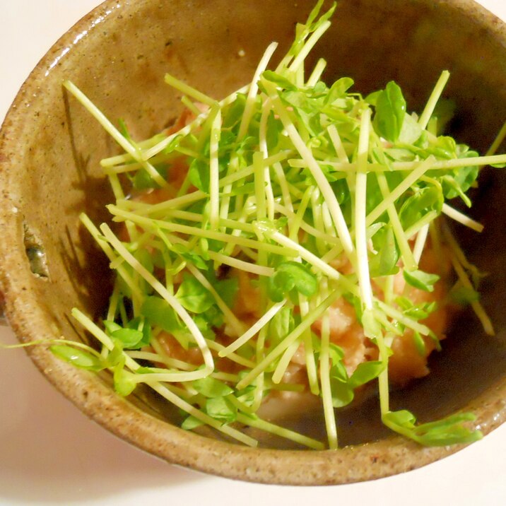 夜中の小腹対策に おからと豆苗 味噌味でお粥風 レシピ 作り方 By ブ 子 楽天レシピ 夜中の小腹対策に おからと豆苗 味噌味でお粥風 レシピ 作り方 By ブ 子 楽天レシピ